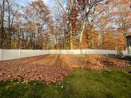 leaf-clean-up